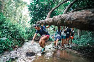 BIB: 
                            <button type="button" onclick="openModal(25371925)" class="btn btn-primary btn-sm float-right btn-popup" data-toggle="modal" data-target=".modal-high-quality">
                        <i class="fas fa-shopping-cart"></i> Add to Cart
                    </button>
                                            <button type="button" onclick="isThisMe(25371925, true)" class="btn btn-success btn-sm float-right btn-popup btn-isme hidden" data-toggle="tooltip" data-placement="bottom" title="นี่คือรูปของคุณใช่ไหม คลิกที่นี่เพื่อเอาเข้าอัลบั้ม">
                        <i class="fas fa-plus"></i> Add to album
                    </button>
                    <button type="button" onclick="isThisMe(25371925, false)" class="btn btn-warning btn-sm float-right btn-popup btn-isnotme hidden">
                        <i class="fas fa-ban"></i> Remove from album
                    </button>